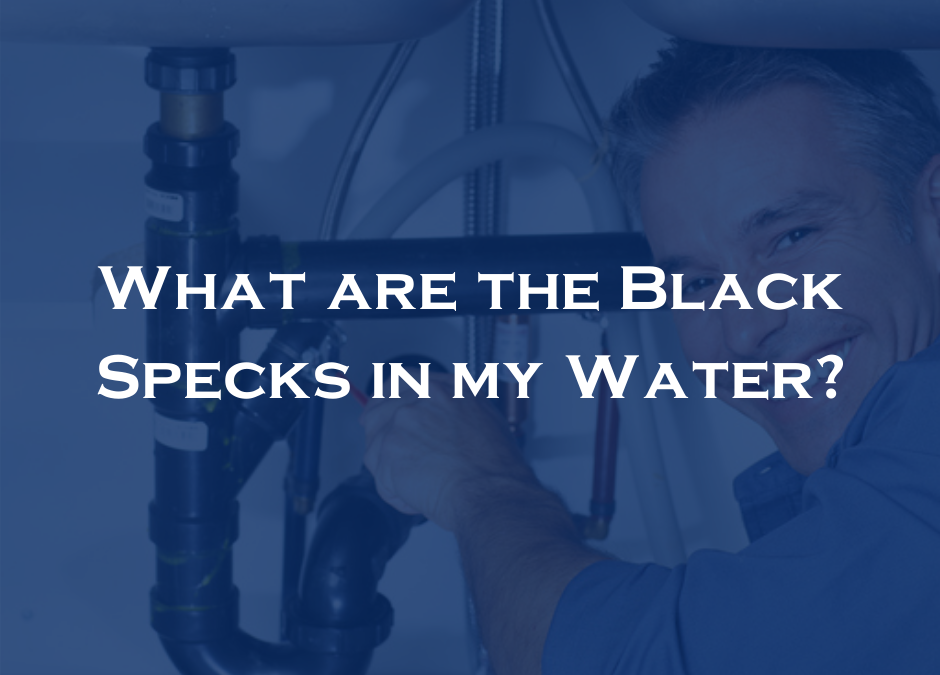 What are the Black Specks in my Water? Five Star Plumbing